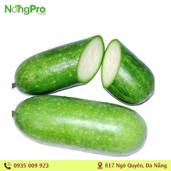 Bí đao hữu cơ Măng Đen