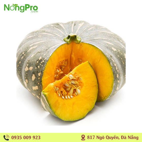Bí đỏ Hữu cơ măng đen