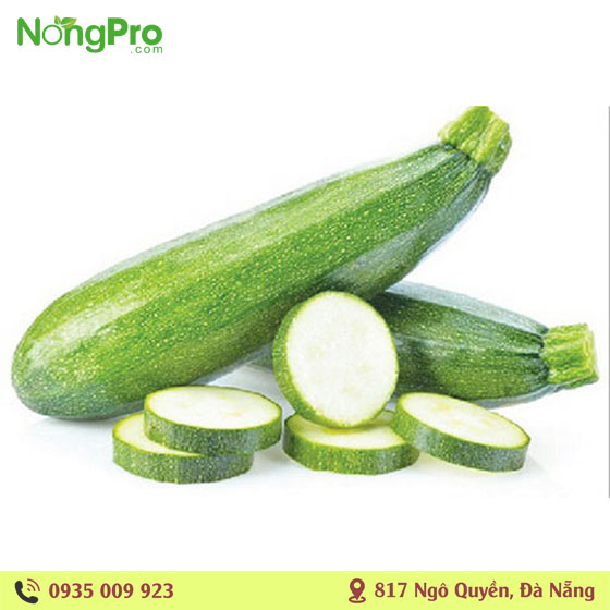 Bí ngòi hữu cơ măng đen