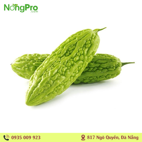 Khổ qua hữu cơ PGS