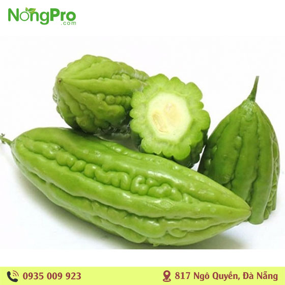 Khổ qua hữu cơ măng đen
