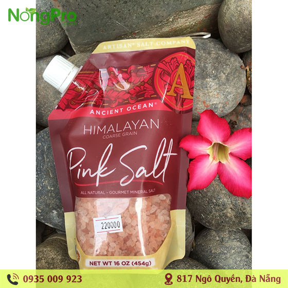 Muối Hồng Hữu Cơ Himalayan Hạt To ( 454g)