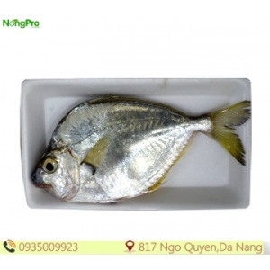 Cá liệt