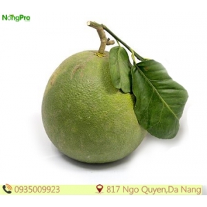 Bưởi da xanh (100g)