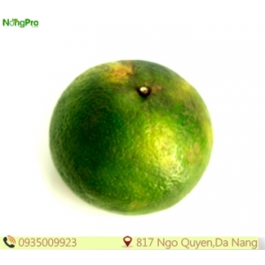 Cam sành hữu cơ (100g)