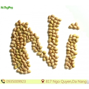 Đậu nành Non-GMO (100g)