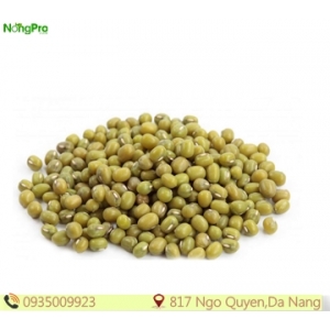 Đậu Xanh (100g)