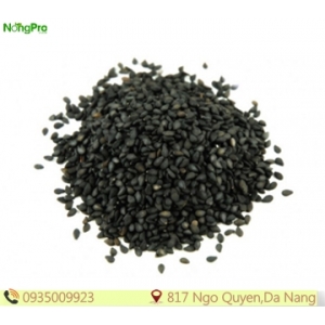 Mè đen (100g)