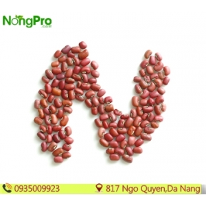 Đậu đỏ (100g)