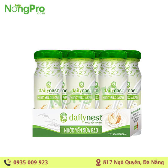 Nước Yến sữa gạo Dailynest 6x120ml